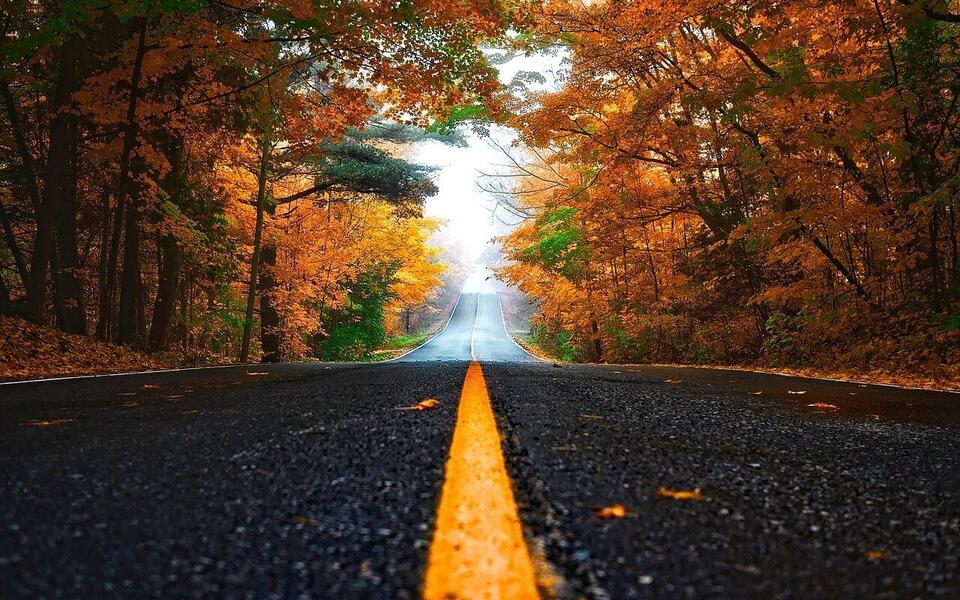 Michigan Thumb Fall Color Tour: Port Austin to Caseville