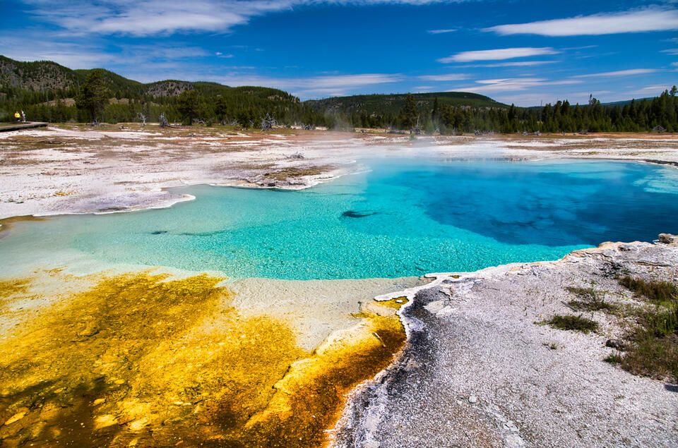 20 Wildlife Corridors That’ll Make Any Nature Lover Swoon - NewsBreak