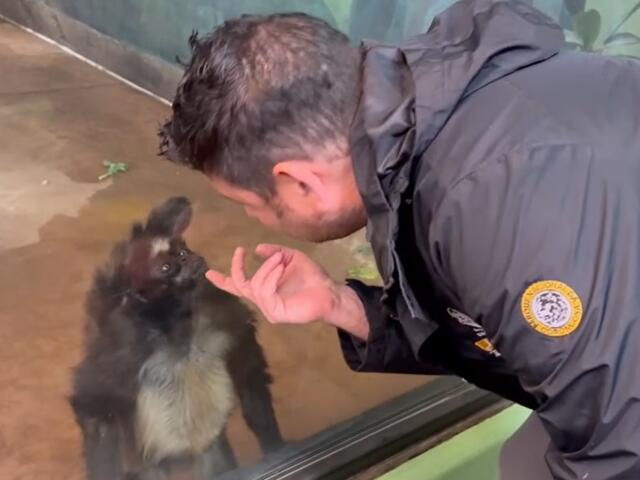 Zoo Boise may be home to one of the oldest spider monkeys in the world