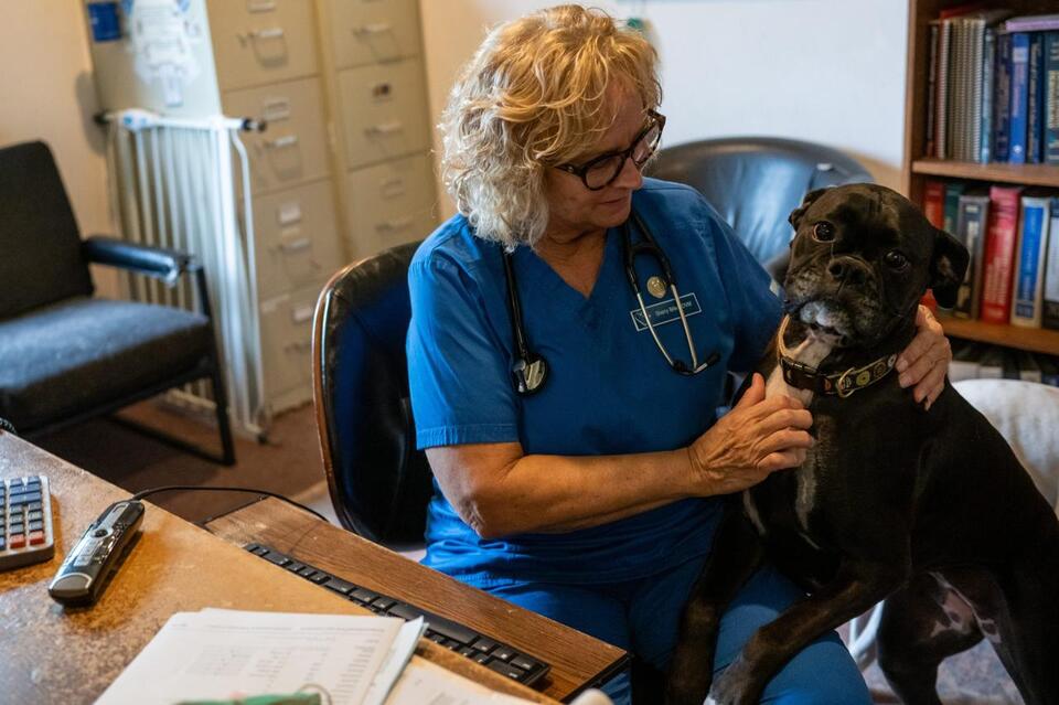 Vet shortage overwhelms clinics, leaves owners to drive hours for ...