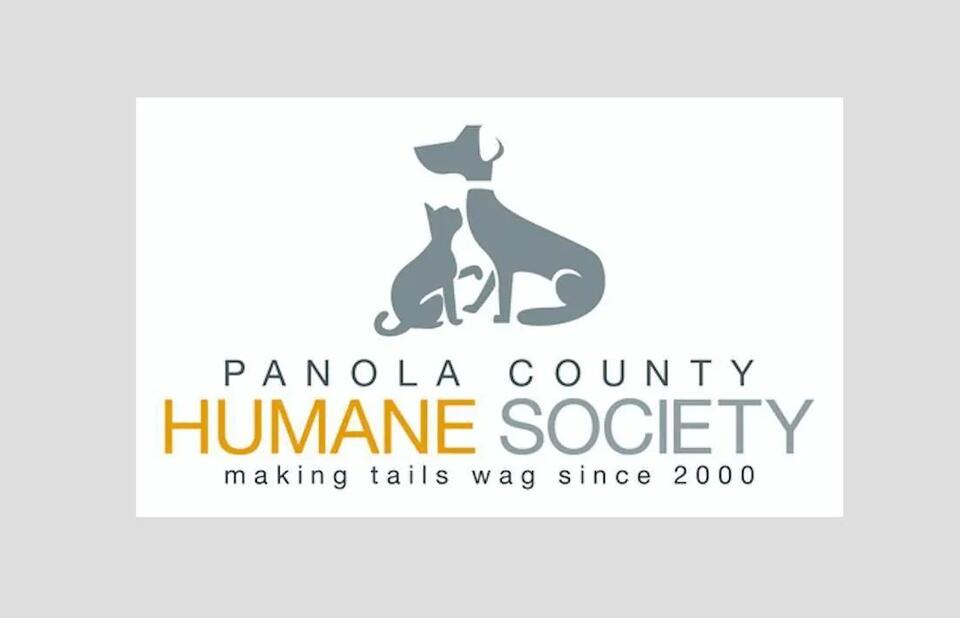 Resident urges city to find funding for spay, neuter