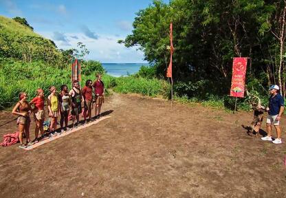 Watch survivor clearance online free