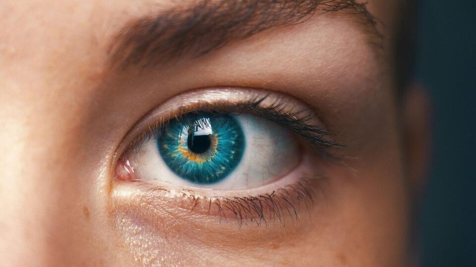 Photosynthesis for the Eyes: NUS Researchers Test Spinach-Based Light ...