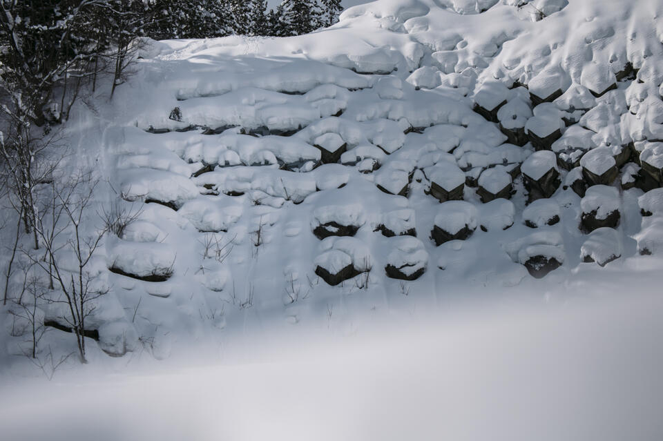 “Best Of” Photo Gallery – Issue 22.2