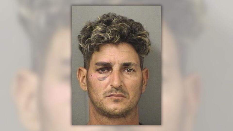 Palm Beach County man arrested after bizarre vandalism spree at ex-wife ...