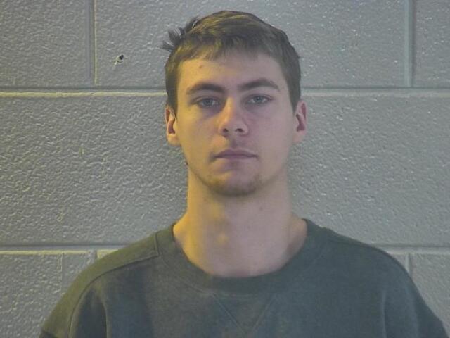 Pulaski County man pleads guilty to double murder of father ...