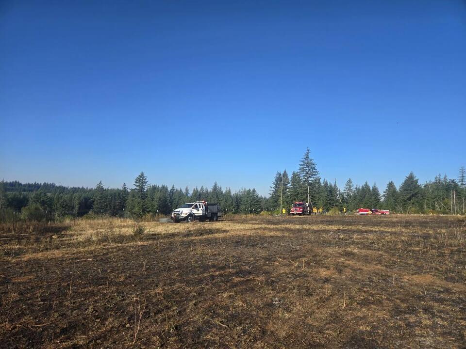 Brush fire burns 8 acres near Estacada - NewsBreak