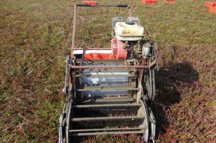 Sunny Valley provides update on fall peaches and nectarines