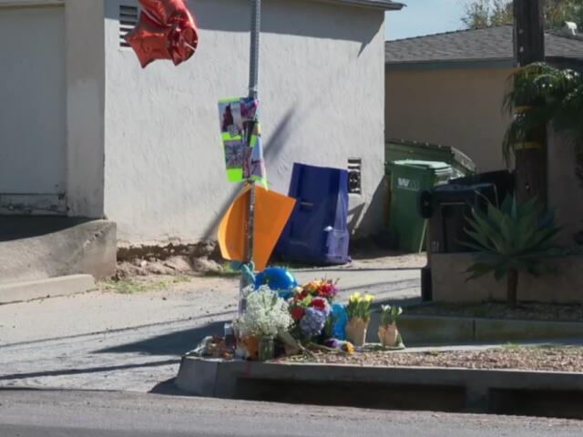 Police identify woman suspected in Pacific Beach hit-and-run that ...