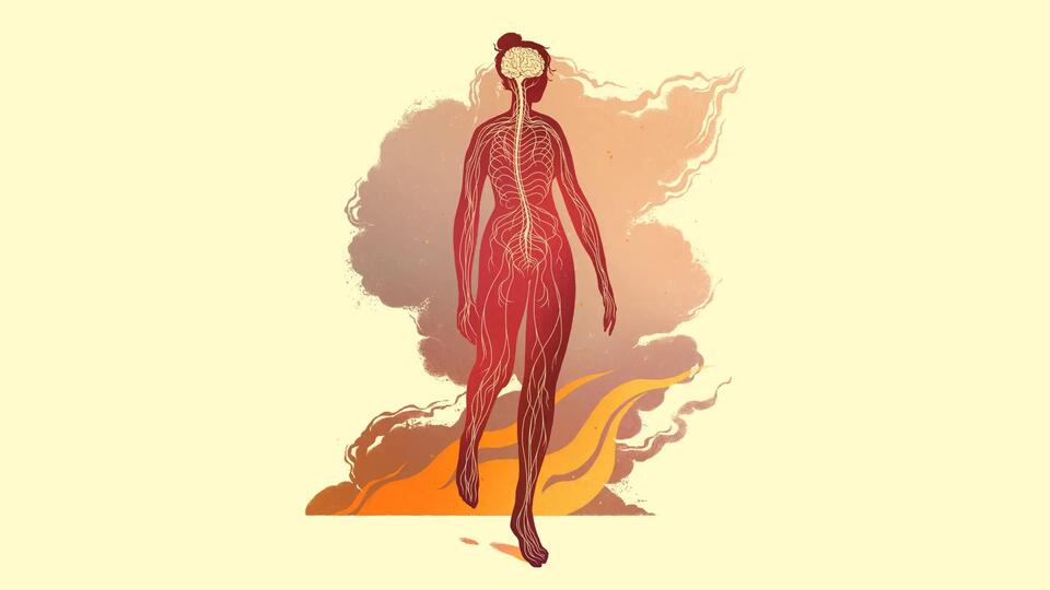 Gets Under the Skin