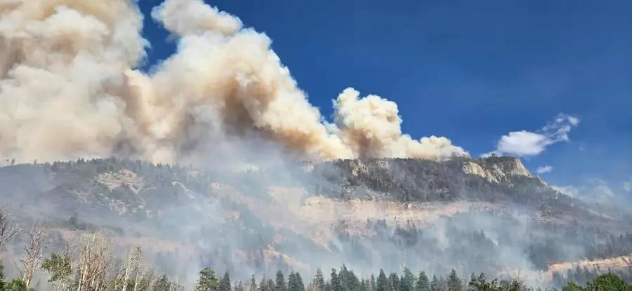 Pilot's body recovered from downed fire plane in Gunnison County