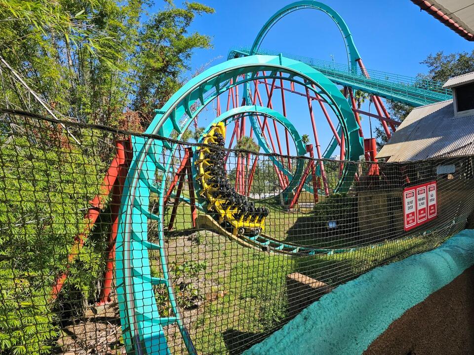 Busch Gardens Tampa Bay Says Goodbye to Kumba After 33 Years