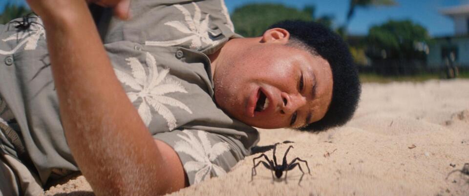 Spoiler-Free Review: Spider Island (Tubi FrightFest 2026)