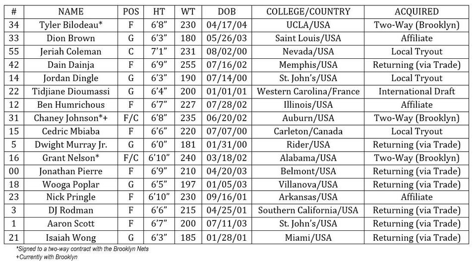 Long Island Nets unveil camp roster with NBA, local connections - NewsBreak