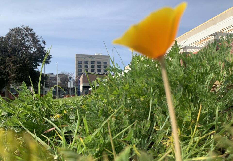 Laney College Tower to Retire - NewsBreak