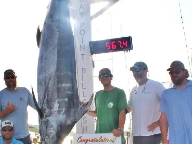 A 567-pound blue marlin: Destin's Wynsong wins more than $250K at Bay