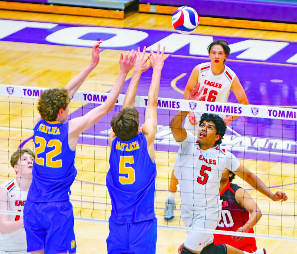 Eden Prairie boys volleyball collects silver medals