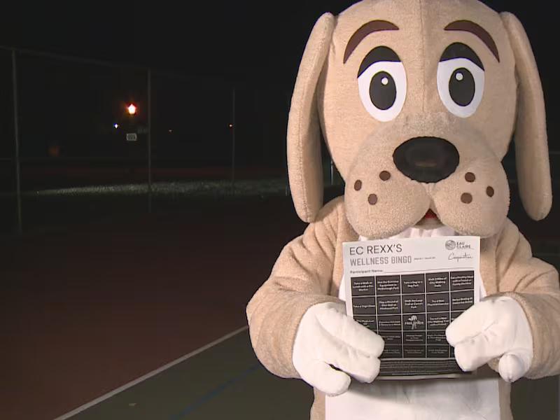 BINGO! Eau Claire Recreation launches a new free actvity