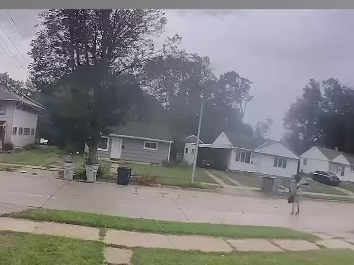 This is the type of random things that happen in Florida! Florida 