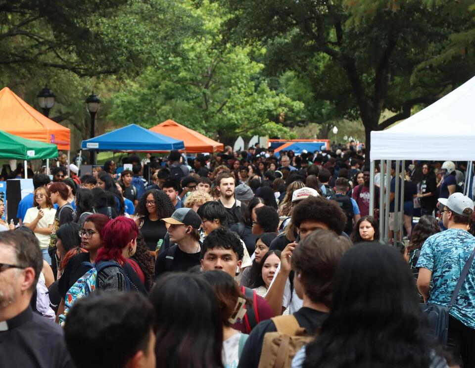 UTA international enrollment drops, first-time-in-college students ...