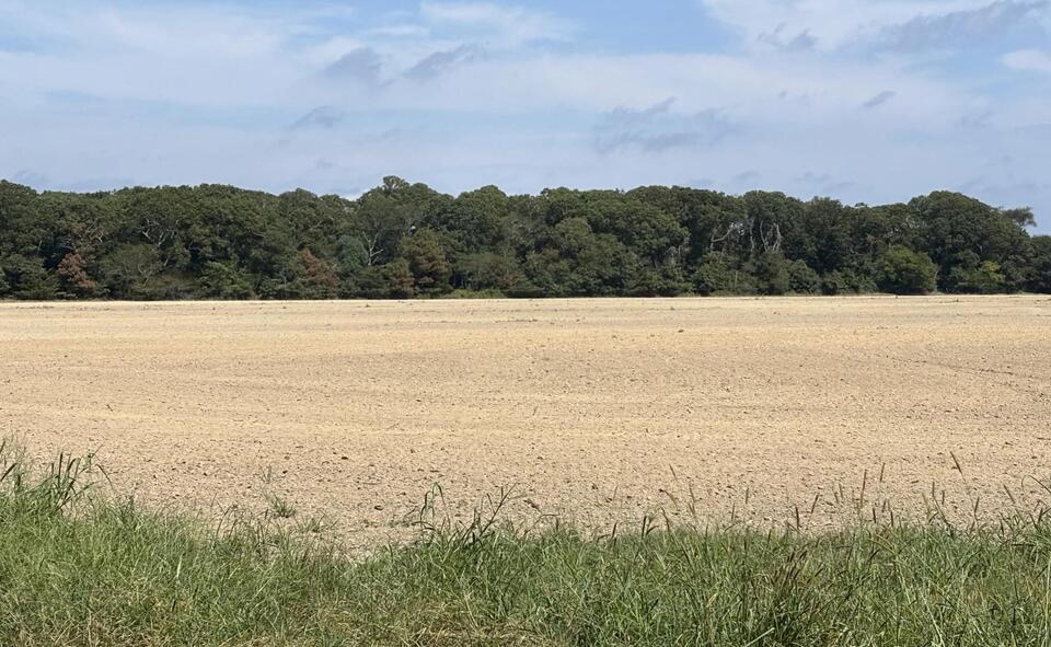 Eastern Shore woman files state complaint over pesticide exposure from ...