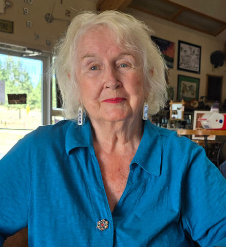 Local Author Dianna Henning to be Featured this Friday at Janesville Jolly Elders ‘Story and Soup’ Event