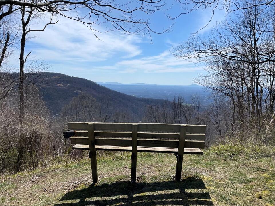 Devil's Den Nature Preserve brought back to life - NewsBreak