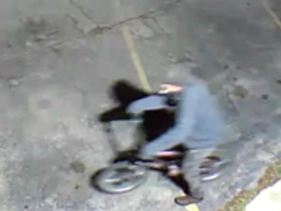 Michigan State Police investigating larceny from motor vehicle in