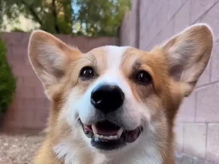 What today looks like from my lens.