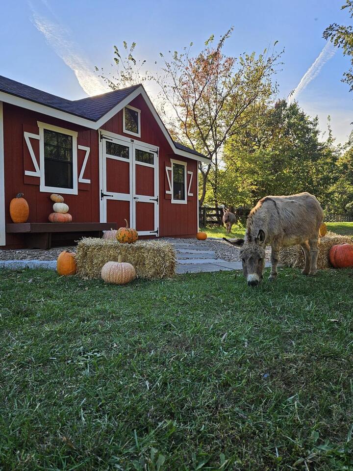 Explore Local Agriculture During the 2026 Loudoun Fall Farm Tour ...
