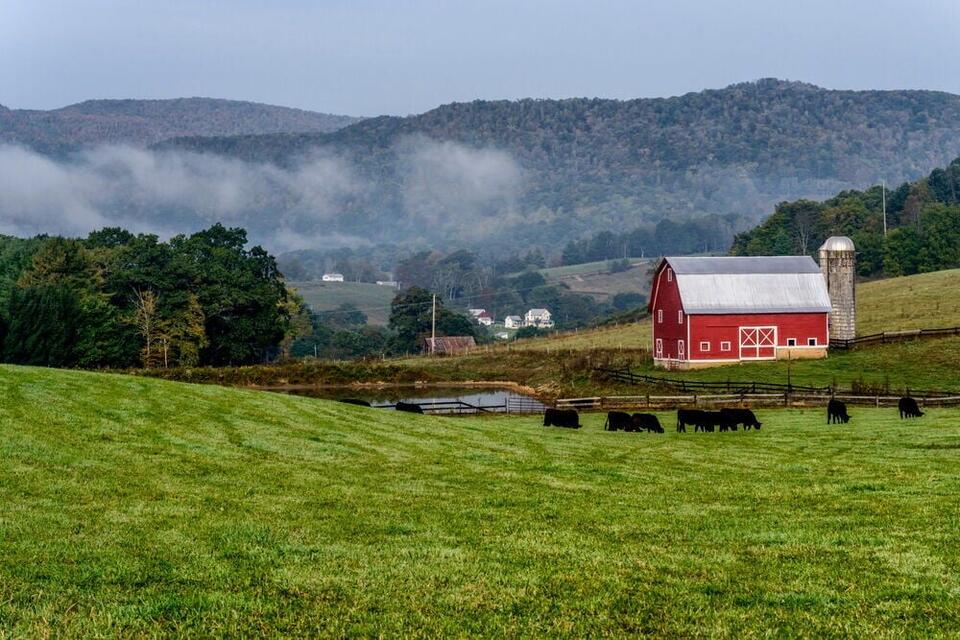 The Heart of American Farming: States With the Most Family-Owned Farms ...