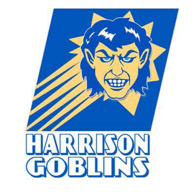 Lady Goblins Move into First Place In 4A-1 Volleyball Standings