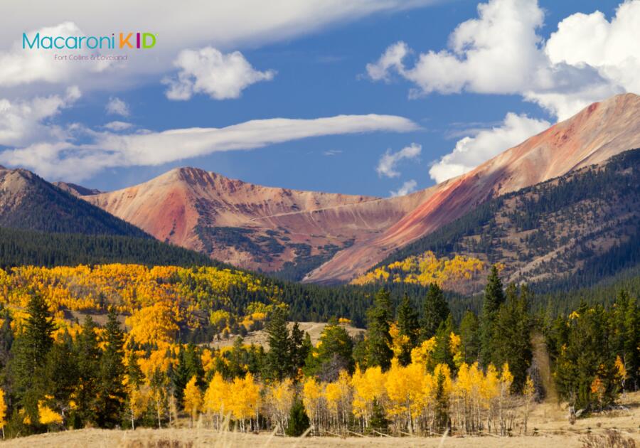 2026 Fall Colors in NOCO! Get Out & Enjoy The Changing Colors. - NewsBreak