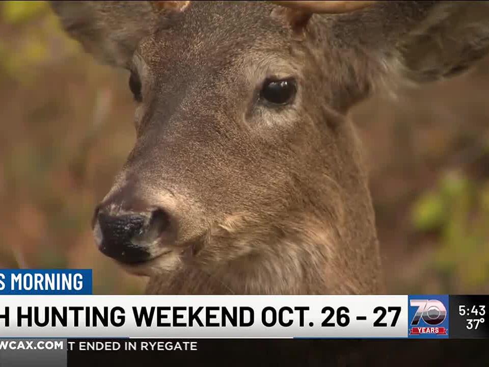 Youth hunting season begins this weekend