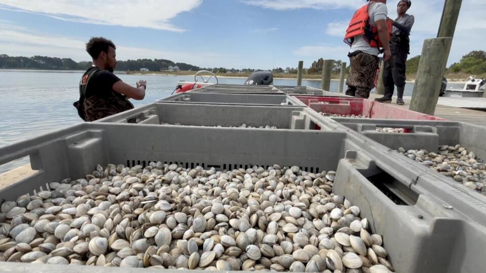 Eastern Shore seafood farm sees growth in business by using ORF to ship ...