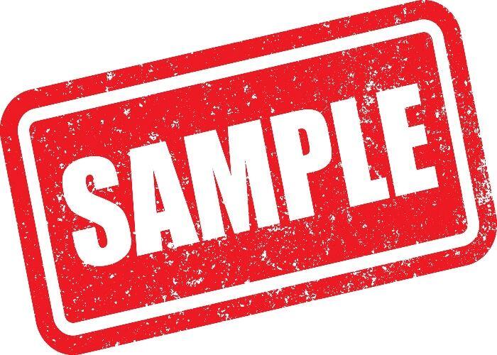 🗳️ 2026 Primary Election Sample Ballots Now Available - NewsBreak