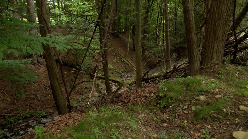Community mourning after family of four killed in crash