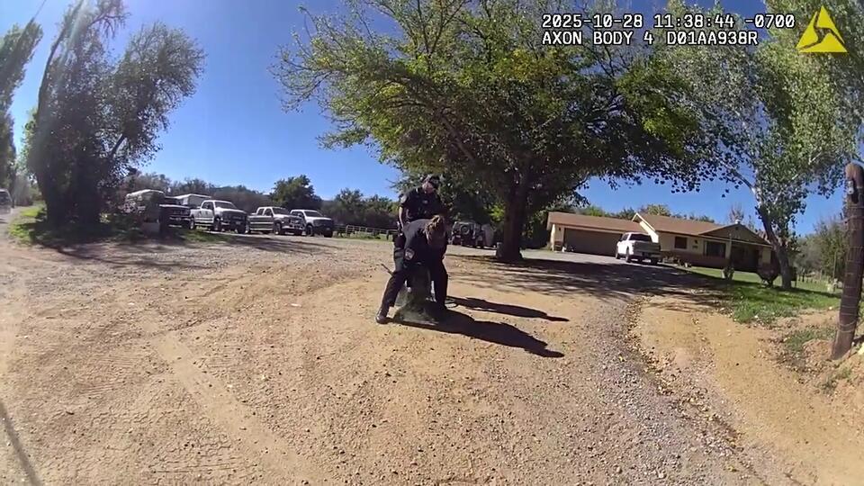 Body camera footage shows moment a loose emu was caught in Arizona ...