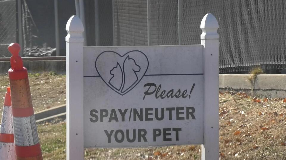 Local humane society set to expand in next few years - NewsBreak