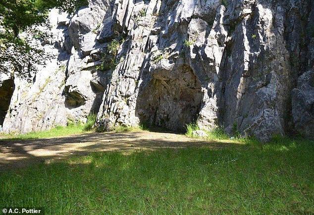 Our ancestors were CANNIBALS: Scientists find evidence ancient human ...