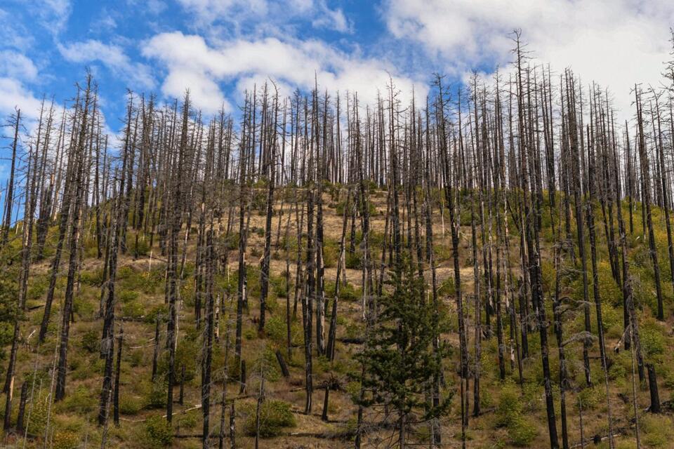 What to know about wildfires as Oregon moves into fall - NewsBreak