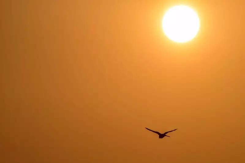 Heatstroke survivor issues dire warning as temperatures surge: 