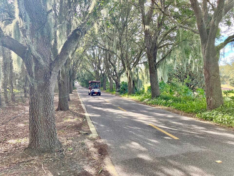 Saddlebrook multi-modal path may finally say goodbye to roots and bumps ...