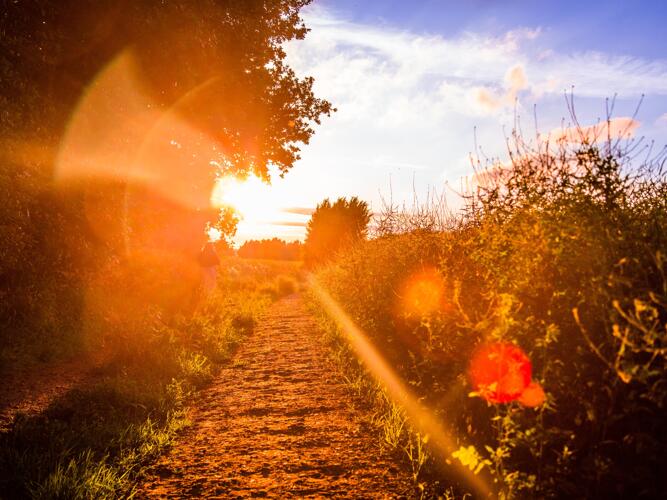 Weather Forecast For Wagner