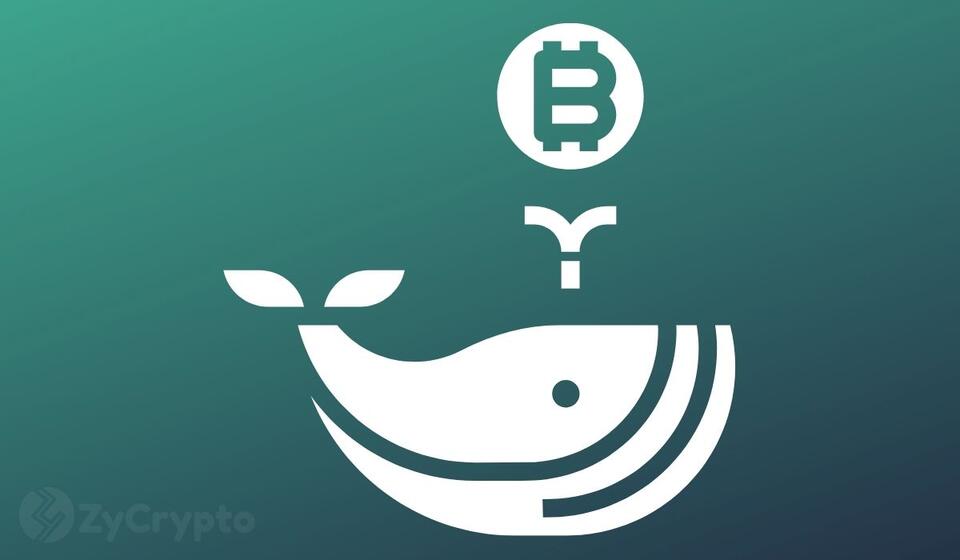 Bitcoin Nears Bottom on Whale Buying, but Coinbase Premium Signals ...