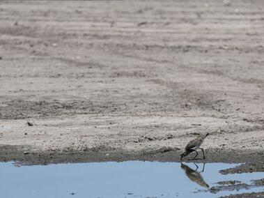 US forecaster sees 60% chance of La Niña weather in September-November
