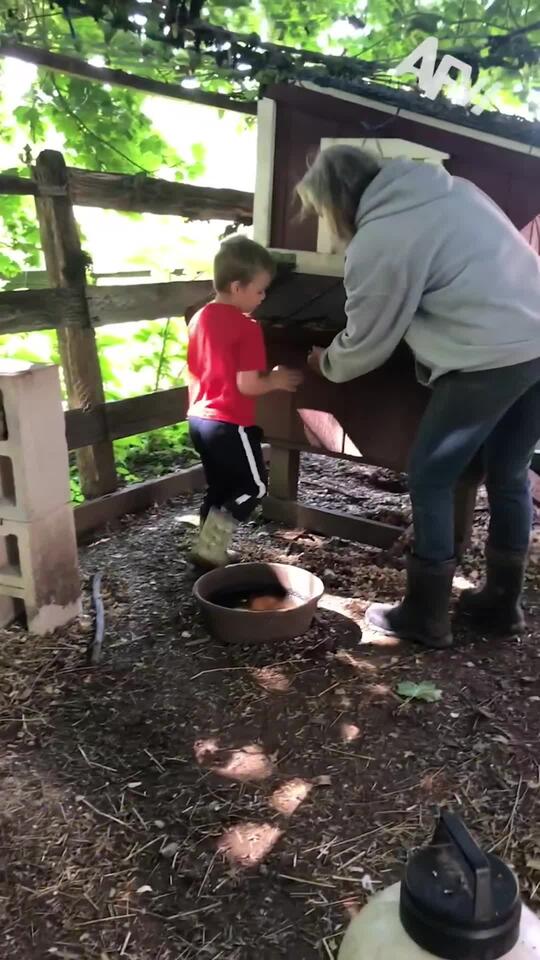 You cant make an omelette without breaking a few eggs afv newsbreak