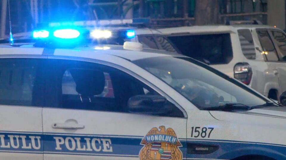 Honolulu police arrest pair after Waipahu assault leaves woman injured ...