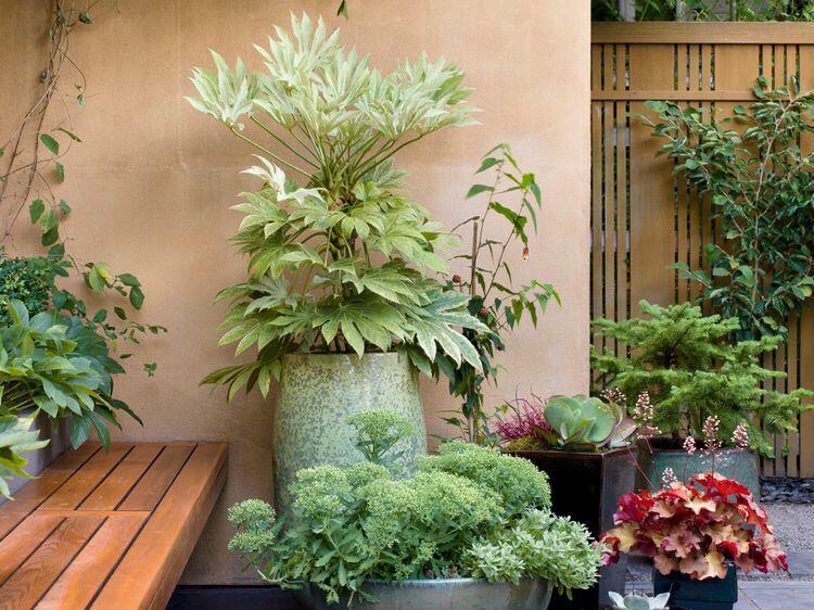 4 MustFollow Steps to Keep Your Potted Plants Watered While You’re on Vacation