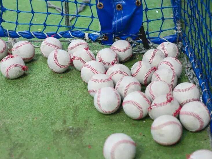 These Chester County Batting Cages are Perfect for Players, Baseball